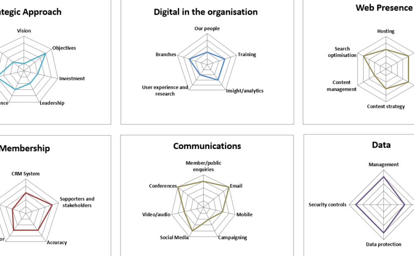 Diagrams from the digital healthcheck results